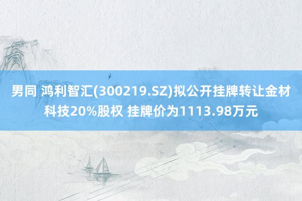 男同 鸿利智汇(300219.SZ)拟公开挂牌转让金材科技20%股权 挂牌价为1113.98万元