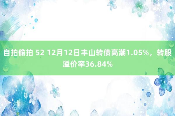 自拍偷拍 52 12月12日丰山转债高潮1.05%，转股溢价率36.84%