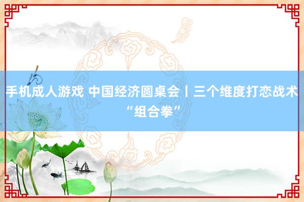 手机成人游戏 中国经济圆桌会丨三个维度打恋战术“组合拳”