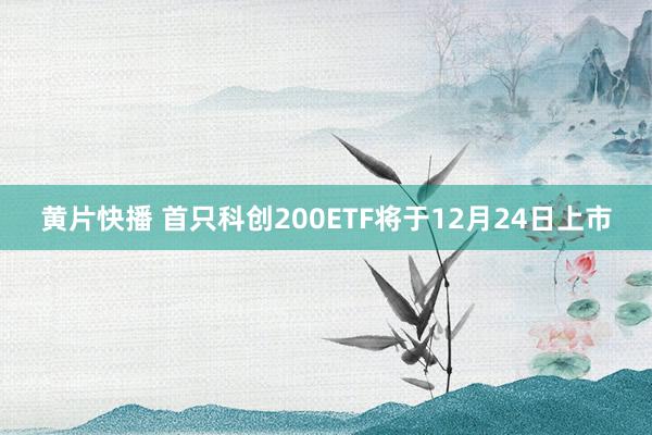 黄片快播 首只科创200ETF将于12月24日上市