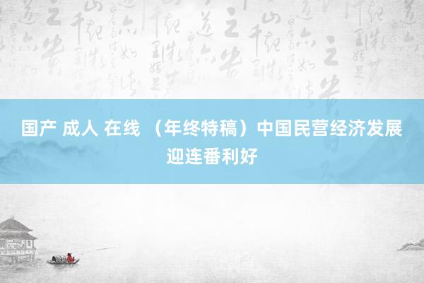 国产 成人 在线 （年终特稿）中国民营经济发展迎连番利好