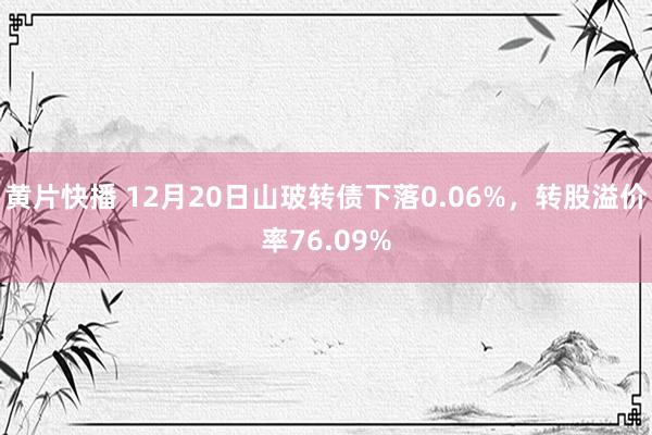 黄片快播 12月20日山玻转债下落0.06%，转股溢价率76.09%