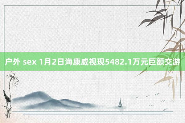 户外 sex 1月2日海康威视现5482.1万元巨额交游