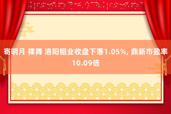 寄明月 裸舞 洛阳钼业收盘下落1.05%， 鼎新市盈率10.09倍