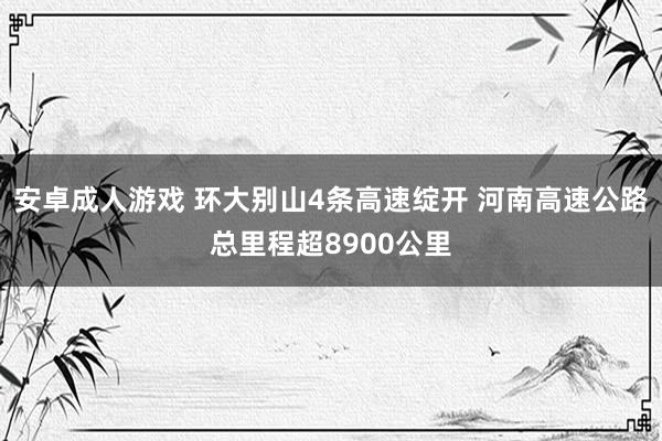 安卓成人游戏 环大别山4条高速绽开 河南高速公路总里程超8900公里