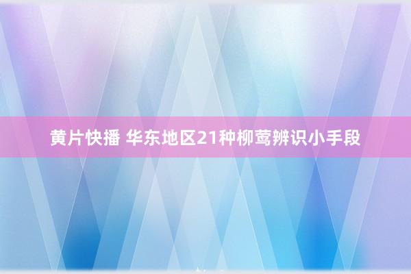 黄片快播 华东地区21种柳莺辨识小手段