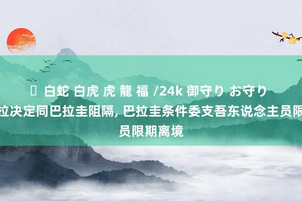 ✨白蛇 白虎 虎 龍 福 /24k 御守り お守り 委内瑞拉决定同巴拉圭阻隔， 巴拉圭条件委支吾东说念主员限期离境