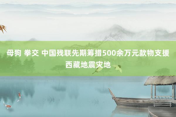 母狗 拳交 中国残联先期筹措500余万元款物支援西藏地震灾地