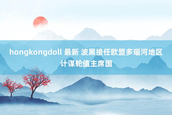 hongkongdoll 最新 波黑接任欧盟多瑙河地区计谋轮值主席国