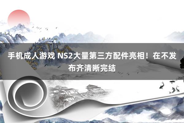 手机成人游戏 NS2大量第三方配件亮相！在不发布齐清晰完结