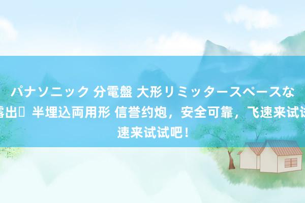 パナソニック 分電盤 大形リミッタースペースなし 露出・半埋込両用形 信誉约炮，安全可靠，飞速来试试吧！