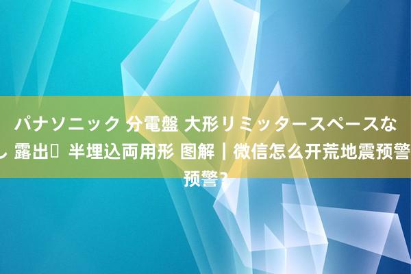 パナソニック 分電盤 大形リミッタースペースなし 露出・半埋込両用形 图解｜微信怎么开荒地震预警？