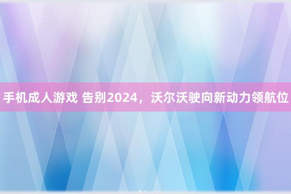 手机成人游戏 告别2024，沃尔沃驶向新动力领航位