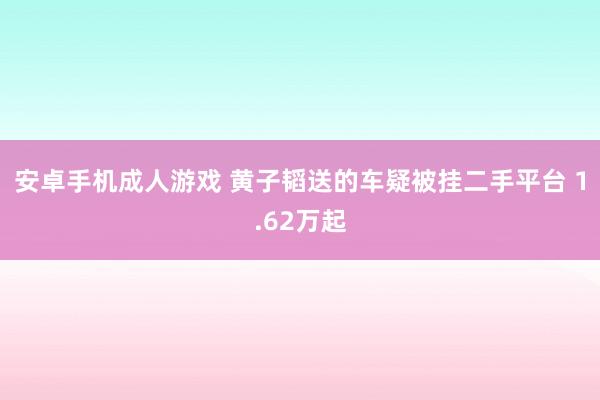 安卓手机成人游戏 黄子韬送的车疑被挂二手平台 1.62万起